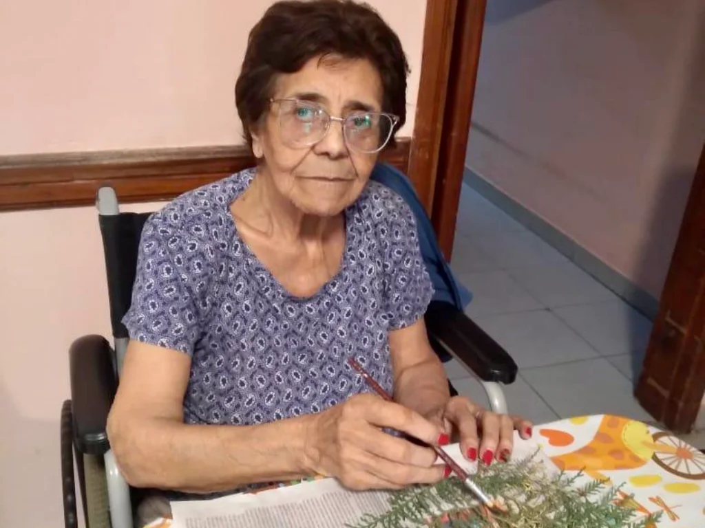 GERIATRICO SOL DE OTOÑO (15)
