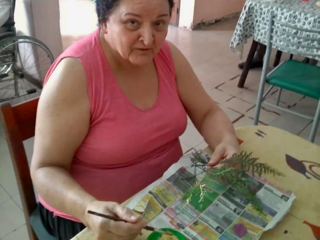 GERIATRICO SOL DE OTOÑO (18)