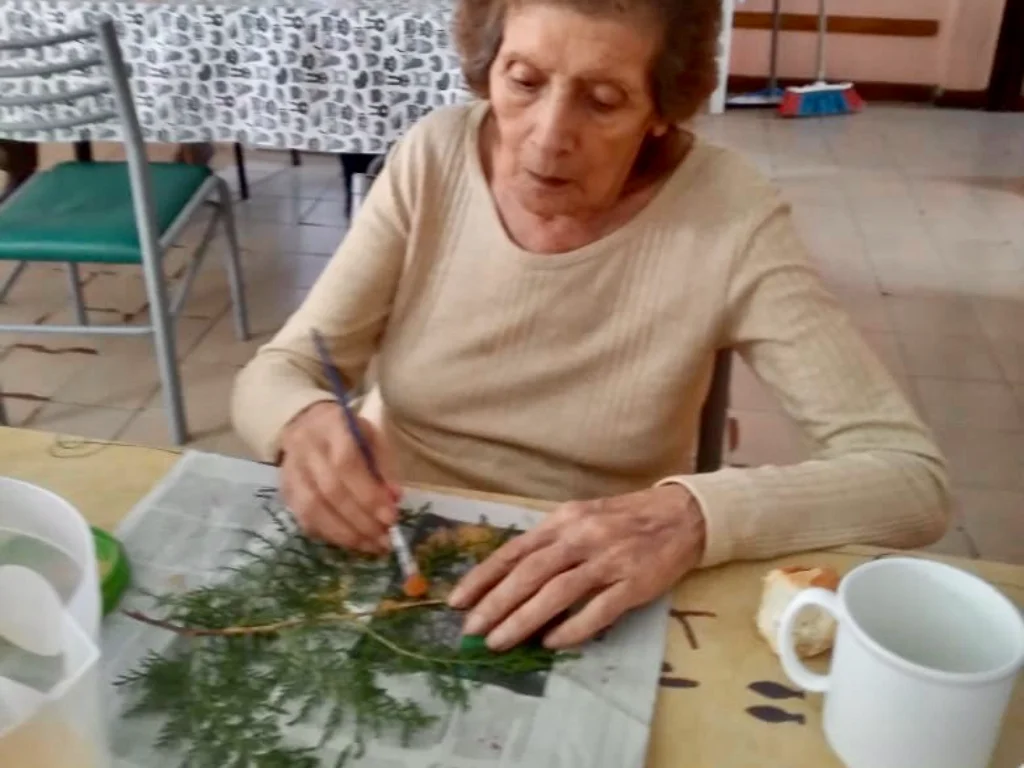 GERIATRICO SOL DE OTOÑO (25)